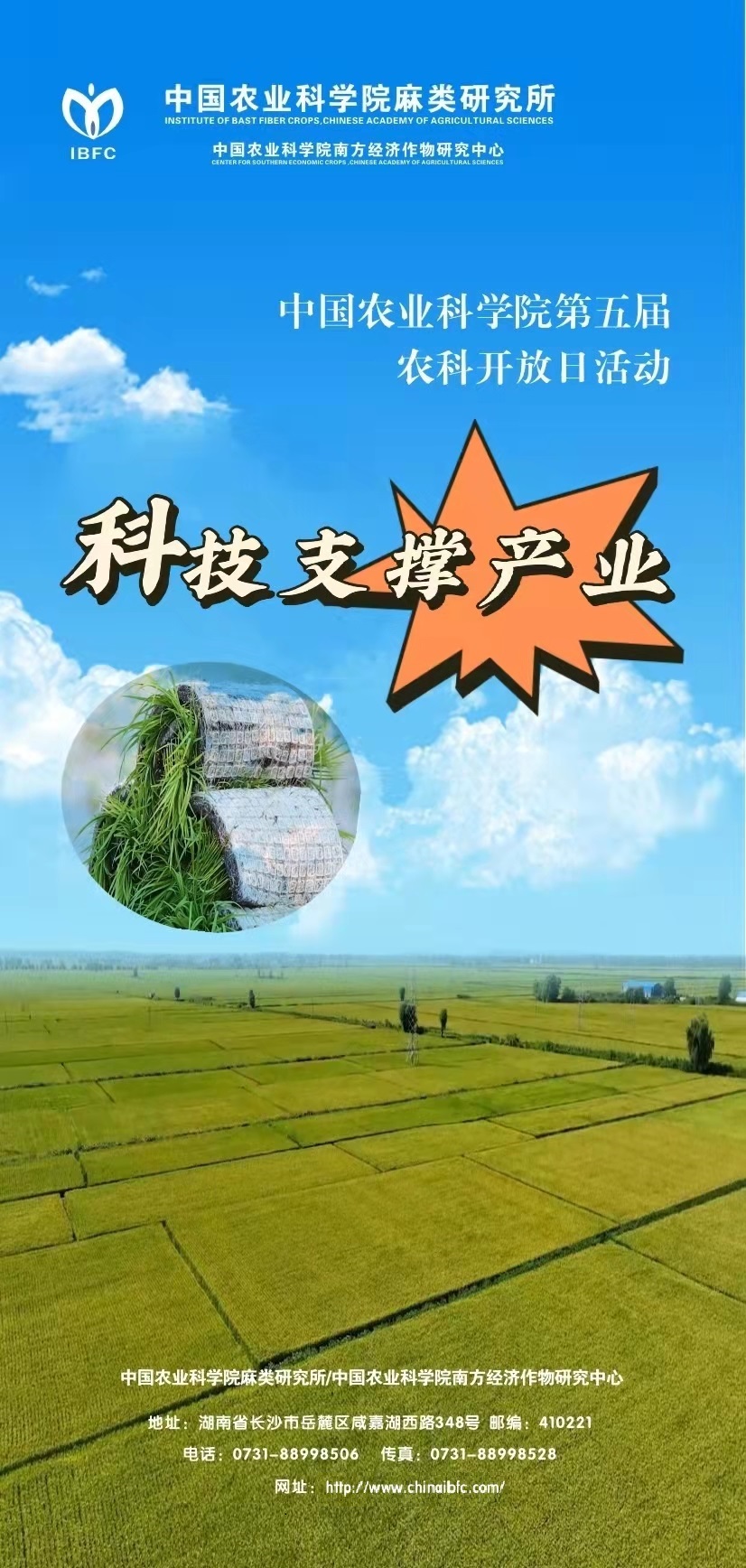 麻類所.jpg