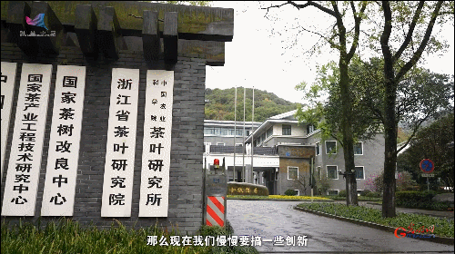 如何真正做有價值的科研？聽“茶葉院士”陳宗懋的答案