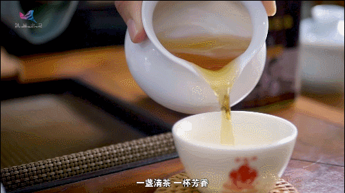 如何真正做有價值的科研？聽“茶葉院士”陳宗懋的答案