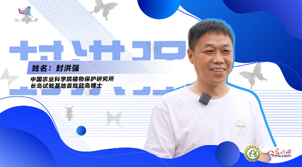 【一線調(diào)研·青春有為】一座海島，一群博士，二十年接力只為一件事