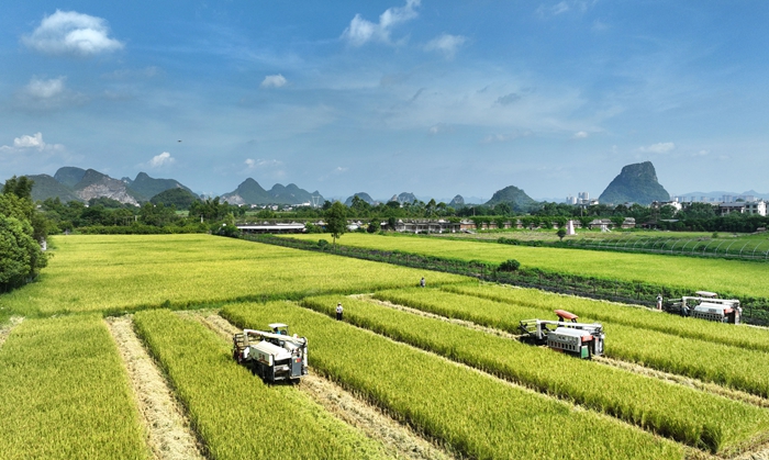 新華1.jpg