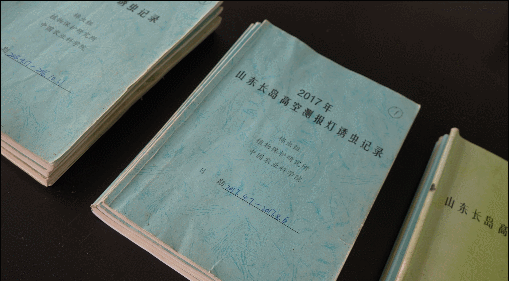 【一線(xiàn)調(diào)研·青春有為】海島“追蟲(chóng)”保豐收