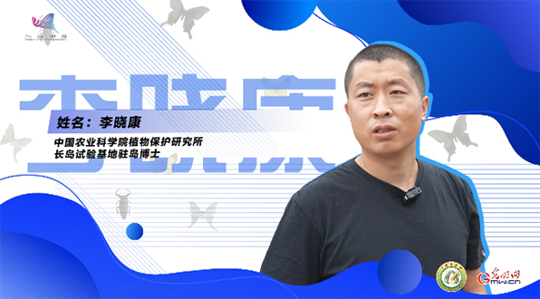 【一線調(diào)研·青春有為】一座海島，一群博士，二十年接力只為一件事
