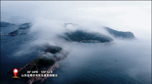 【一線調(diào)研·青春有為】海島“追蟲”保豐收