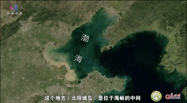 【一線調(diào)研·青春有為】一座海島，一群博士，二十年接力只為一件事