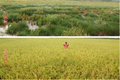 2 面向國家重大需求，突破一批關(guān)鍵核心技術(shù)1151.png
