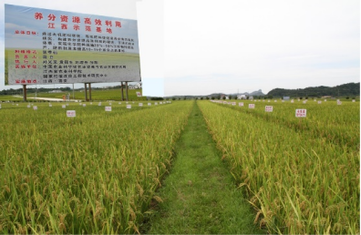 2 面向國家重大需求，突破一批關(guān)鍵核心技術(shù)691.png
