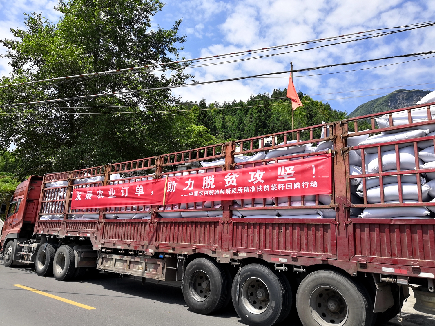 4 2019年6月油菜遺傳育種團(tuán)隊(duì)通過(guò)科技下鄉(xiāng)在恩施田鳳坪.jpg