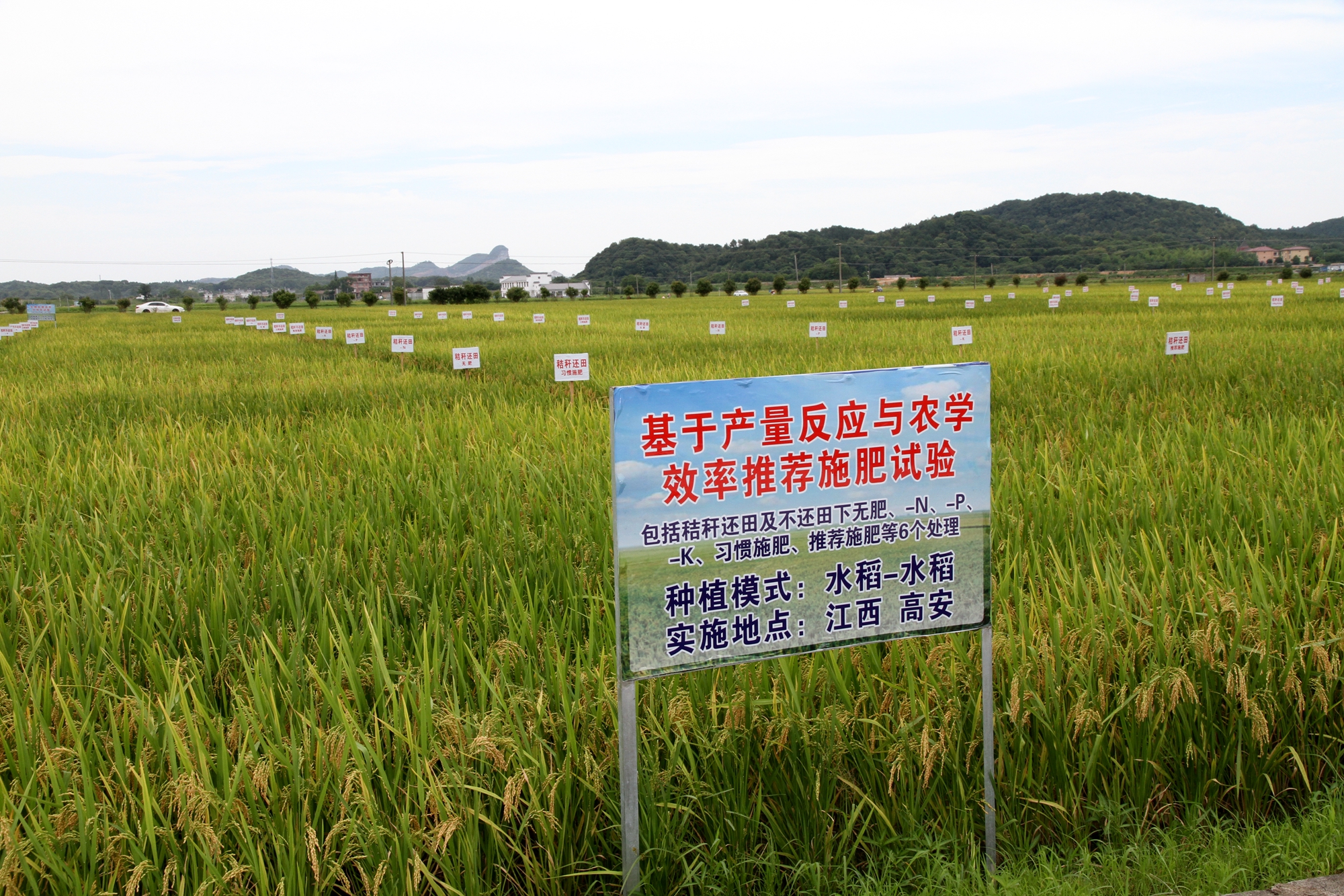圖2：江西養(yǎng)分資源高效利用現(xiàn)場(chǎng).JPG