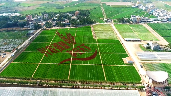 新技術(shù).jpg