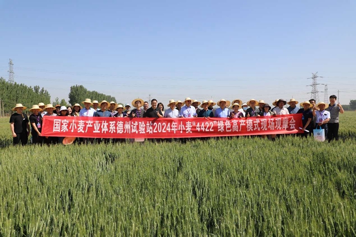 觀摩會(huì).jpg