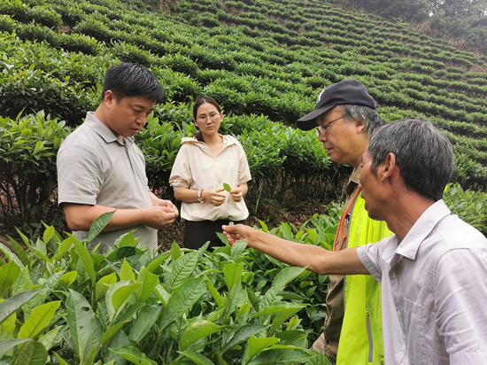 專家團赴云南廣南縣開展技術(shù)指導(dǎo)_副本.jpg