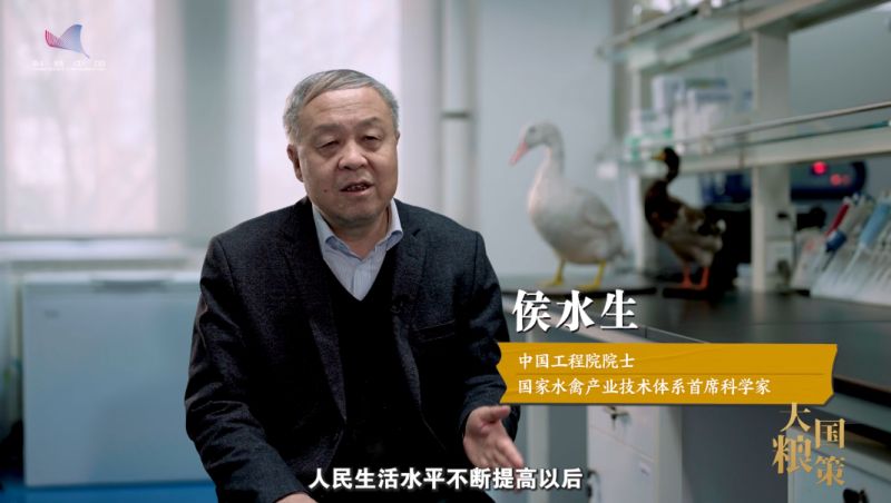 【大國(guó)糧策】從“鴨力山大”到“吃鴨自由”：院士揭秘一只鴨的“增值密碼”