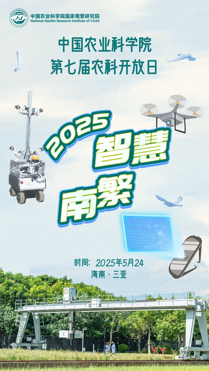 智慧_副本_副本.jpg