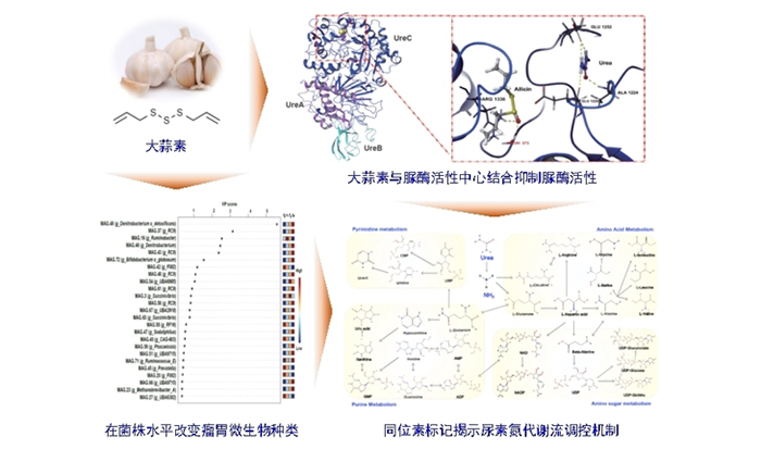 微信截圖_20250603102349.png